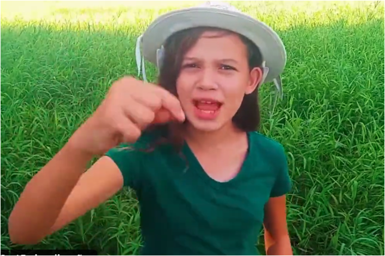 VÍDEO: menina faz convocação para o 7 de setembro com poema e encanta a web