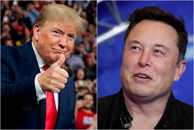 Direita em festa: agora dono do Twitter, Musk poderá trazer de volta Donald Trump